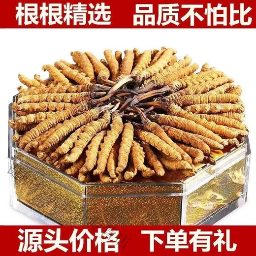 花色堂冬虫夏草虫草正品正宗滋补养生自用王头期藏 一支装