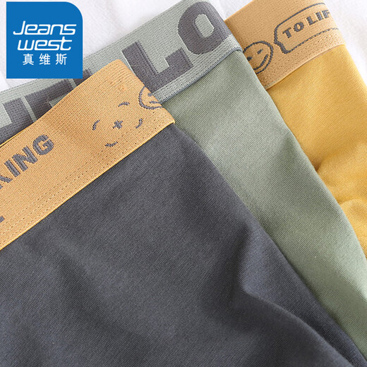 真维斯（JEANSWEST）男士内裤纯棉平角裤大码四角4条