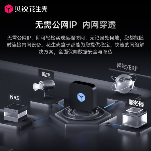 花生壳盒子 花生棒Pro 内网穿透内网映射ngrok端口映射NAT智能硬件远程访问支持接入frp