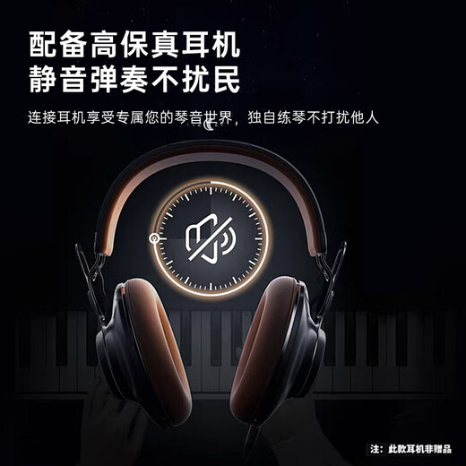 贝琪（Betsy）电钢琴88键成人儿童便携新手入门初学者电子钢琴-B877黑+Z支架