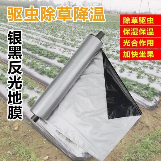 Silver and black two-color mulch film, thickened black and white film, reflective mulch film, strong, tough, good covering, weeding and moisturizing plastic film, 1.2s thick, 1m 146m