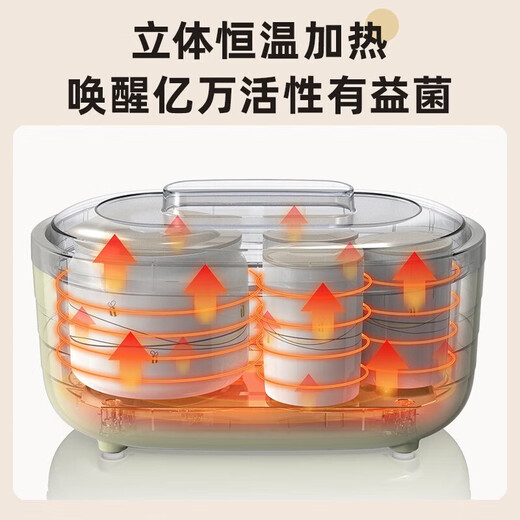 小熊（Bear）酸奶机 家用全自动定时自制米酒机泡菜机 送陶瓷6分杯 微电脑智控免看管