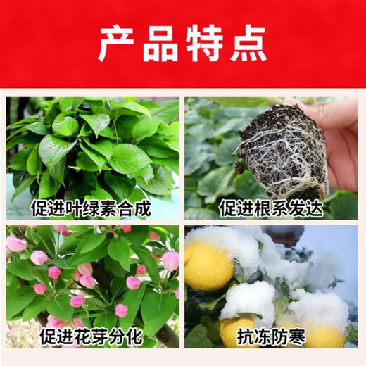 Guoguang Guoguang Runer potassium dihydrogen phosphate for plants, flowers, vegetables and fruit trees to promote flowering, root expansion and fruit expansion, general flower fertilizer 1kg