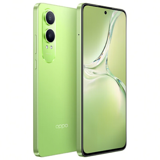 
OPPO K12 Plus Sony 50 million ultra-clear main camera, third-generation Snapdragon 7 flagship core, 120Hz eye protection straight screen, 6400mAh large battery, 5GAI mobile phone k12 series, Ningguang green [K12x Snapdragon 695] 8GB+256GB