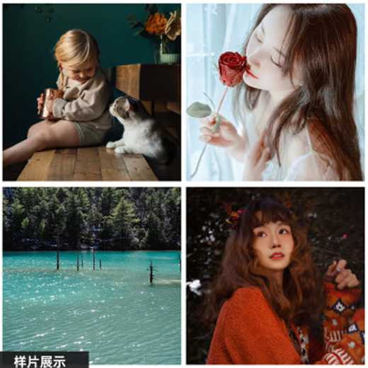 SIGMA 28-70mm F2.8 DG DN Sony E-mount full-frame mirrorless constant large aperture standard zoom lens live video