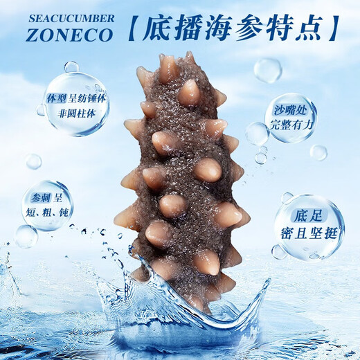 Zhangzidao Dalian ready-to-eat sea cucumber 1200g 21-30 pieces, more than 90% solid content, seafood and aquatic products gift box