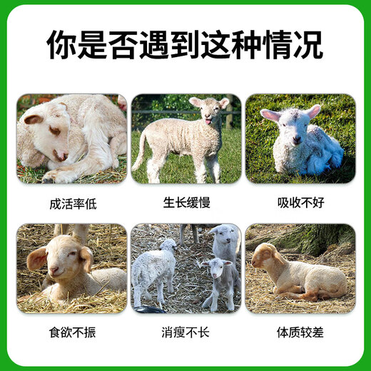 Yingmeier Yingmeier lamb premix pulled lamb precise opening material skeleton special fattening weight gain fattening sheep premix 20kg*2 bags 97 per bag