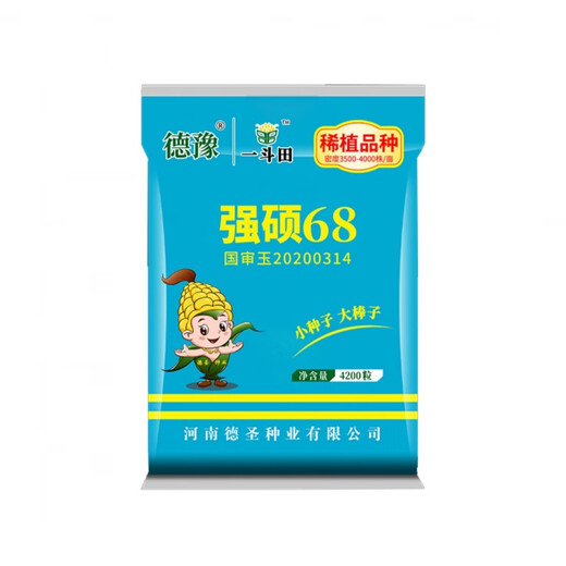 New ultra-high-yielding Academy of Agricultural Sciences original authentic national-approved corn seed red shaft big stick Qiangshuo 68 drought and disease resistance yellow bag Qiangshuo 68 4200 *5 bags national-approved original authentic