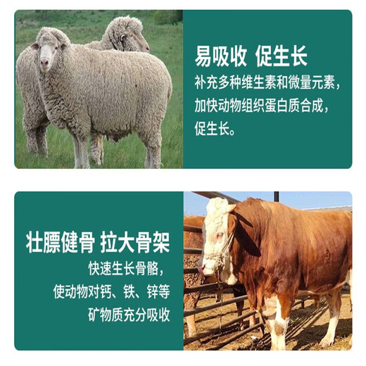 5% mutton sheep premix Dabeinong's core technology strengthens bones and increases fat, quickly slaughters, fast fattens and reduces stones. One bag of 25KG can be mixed with 1000Jin. Jin is equal to 0.5kg. Contact customer service for a full ton for more cost-effective delivery. Direct delivery by truck.