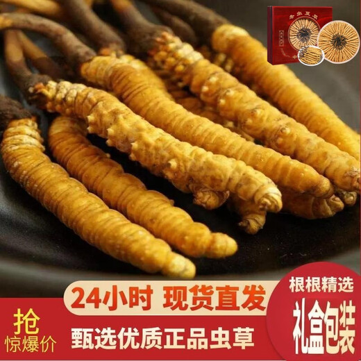 【假一赔十】雪山冬虫夏草正宗藏区虫草正品冬虫草礼盒装虫草干货 西藏那曲虫草3条一克合计10条