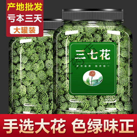 Beijing Tongrentang quality authentic Panax notoginseng flower tea Yunnan Wenshan Panax notoginseng flower authentic Fentianqi soak in water and drink wild Panax notoginseng flower 100g canned