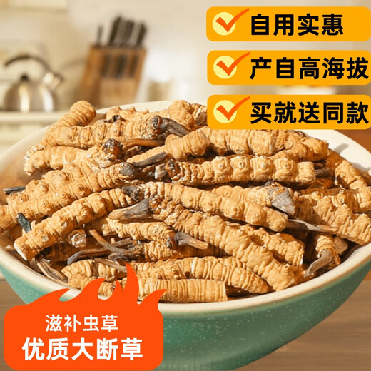 
Xina Tibet Que High-altitude Cordyceps Cordyceps Broken Grass Large bottles High-altitude Self-use authentic home outfits Tibet Naqu Broken Grass 50 grams pack 5 grams hair 55 grams