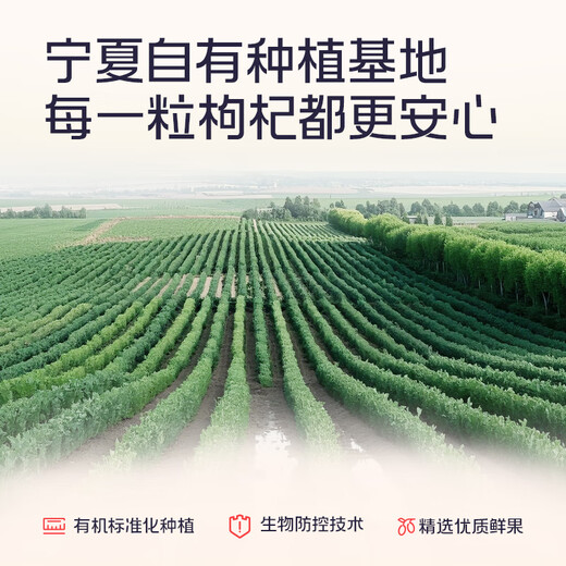 百瑞源出品 果小凡枸杞原浆30ml 宁夏红枸杞子中宁鲜枸杞汁原液