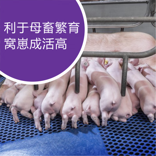 OIMG Vinomycin multi-mineral veterinary trace element mineral premix livestock, poultry, aquatic, cattle and sheep feed agent 1kg/bag