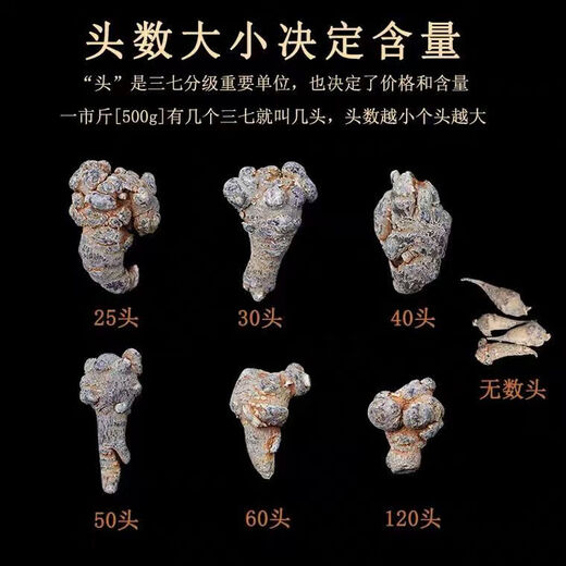 Panax NotoginSeng, authentischer Yunnan Wenshan Chun Panax Notoginseng, wild chinesischer Kräutermedizin Tianqi, Spezialgrad Slip-tall-tall-verstreute verstreute verstreute verstreute verstreute verstreute verstreute, verstreute verstreute verstreute verstreute verstreute verstreute verstreute verstreute verstreute verstreute verstreute verstreute verstreute verstreute verstreute verstreute verstreute verstreute verstreute verstreute verstreute verstreute verstreuten verstreuten verstreuten verstreuten verstreuten verstreuten verstreuten verstreuten verstreuten verstreuten verstreuten verstreuten verstreuten verstreuten verstreuten verstreuten verstreuten verleum