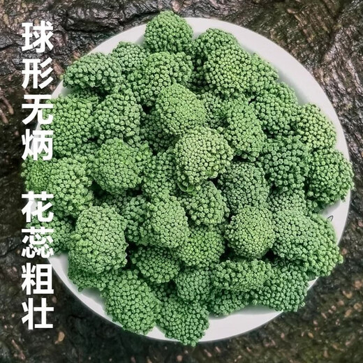 崹艼胖东来品质云南文山三七花官方店旗舰三七花中药材克三七头茬 精选三七花500克 【罐装】