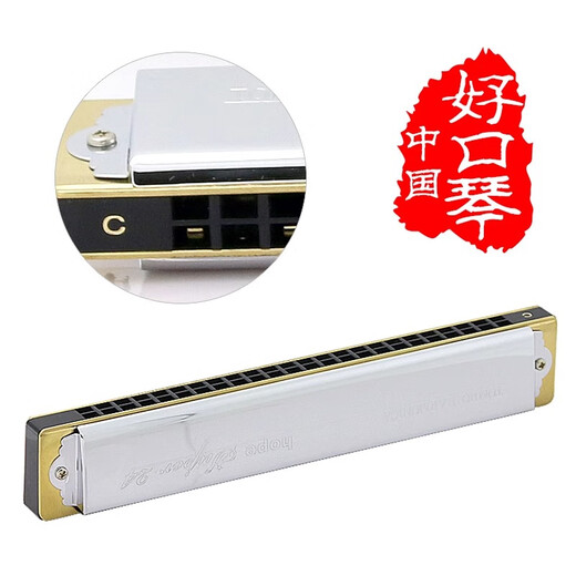 Tongbao Japan Tongbao 6624s Erwachsener Mundharmonika Professionelle Leistung Student Fortgeschrittene 24-Loch-Polyphonic Mundonicon 12-Tune-Set E-Tune