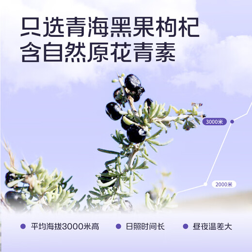 Produziert von Bairuiyuan Guoxiaofan Black Wolfberry Original GLURRY GIFFE BOX 900 ml Qinghai Black Wolfberry Fresh Wolfberry Original Slurry 100%