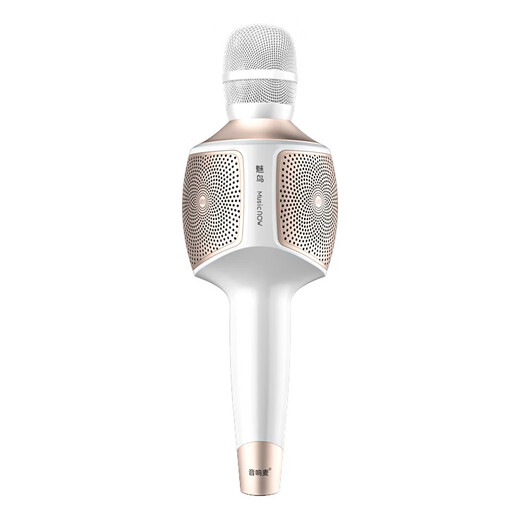 Charming Bird Big Sound Speaker Mic 60W Microphone Audio Integrated Microphone Home National TV K Song Car Singing Wireless Bluetooth Mobile Phone Live Recording Sound Card Equipment Set Big Sound Speaker Mic Flagship Deluxe Edition 3 Years Renewal + Luxury Gift Package