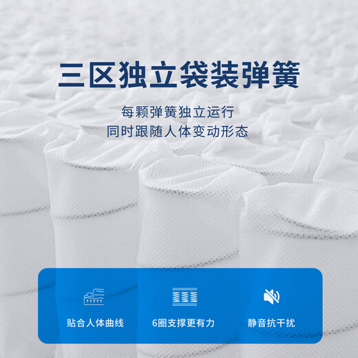 索思乐床垫1.8x2米 席梦思床垫天然乳胶1.5x2米弹簧床垫 家用软硬垫 B款【硬支撑 适中偏硬】 1350mm*1900mm