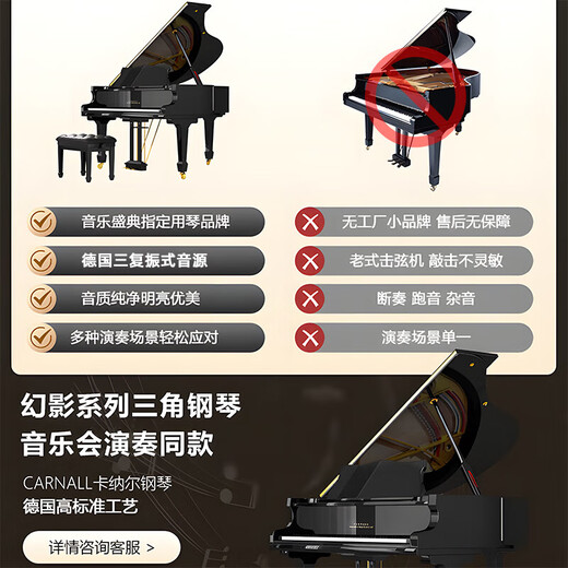 卡纳尔（CARNALL）全新家用三角钢琴成人专业演奏实木真钢琴德国进口配置高端教学用 GC5 高端黑 [德国三复振式音源]