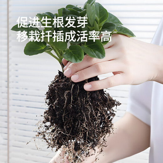 Stanley Rapid Rooting Powder Plant Universal Tree Transplanting Powerful Cutting Special 500g