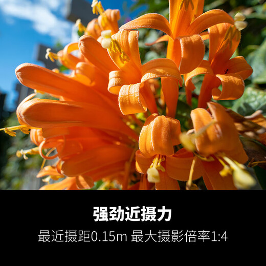 Tamron 11-20mm F/2.8 Di III-A RXD Large Aperture Ultra Wide Angle Mirrorless Lens Scenery Travel (Fuji X-Mount) Filter Set