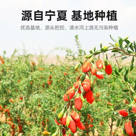 亚多琳正品枸杞国家标准特级宁夏枸杞子批发500g一斤正宗大粒枸杞干泡水 500g/250g [含量枸杞]1罐共250