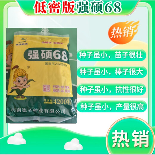 New ultra-high-yielding Academy of Agricultural Sciences original authentic national-approved corn seed red shaft big stick Qiangshuo 68 drought and disease resistance yellow bag Qiangshuo 68 4200 *5 bags national-approved original authentic