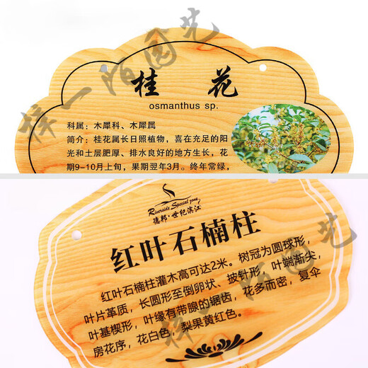 Factory direct sales flower and grass brand custom acrylic tree brand custom plant sign tree tree introduction sign reminder sign red #1#