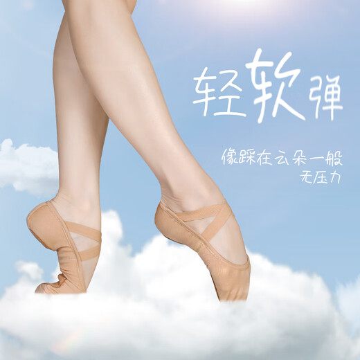Ai wu Ge Yunduo Tanzschuhe Erwachsene Ballettschuhe Übungsschuhe Untersuchung Professioneller Softrote Schuhe 816 Kamel 39