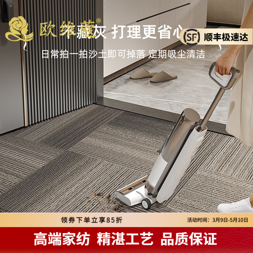 轻奢品牌入户门地垫高级感进门门口脚垫防滑耐脏门外门垫玄关地毯 灰颜-15271 80cm*120cm入户小尺寸