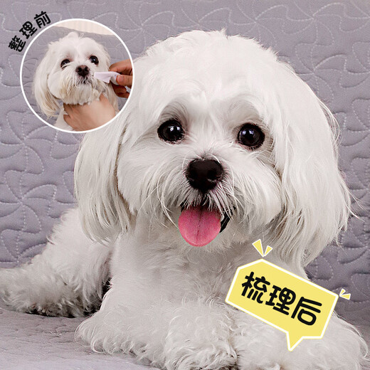 QiOh dog comb, cat comb, special cat comb, Teddy Bichon face comb, cleaning tool, flea comb, complete list of supplies, upgraded anti-static-white small size