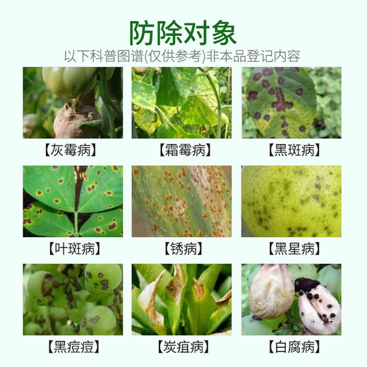 莱恩坪安40%百菌清悬浮剂果树花卉蔬菜叶斑病炭疽病白粉病通用农药杀菌剂