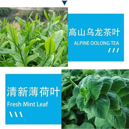 Ice oolong tea bags and tea bags oolong tea new flavor resistant to brewing and strong fragrance mint rich fragrance oolong tea Ice oolong tea 1 bag-5 small bags
