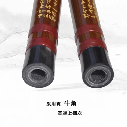 管子先生笛子管子先生专业演奏级精制双插两节苦竹笛横笛乐器初学考级儿童 C调