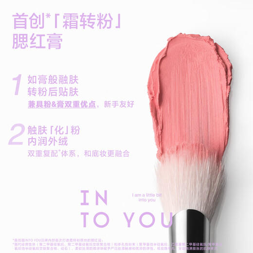 INTO YOU Creamy Mist Blush Cream Naturally Brightens, Contours, Makes Up, Moisturizes and Moisturizes Birthday Gift for Girlfriend CP06