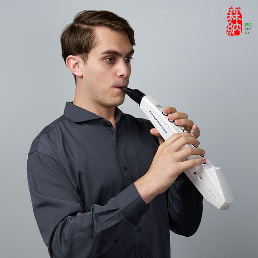 罗兰 ROLAND罗兰电吹管乐器AE01ae0501c初学入门电子萨克斯葫芦丝笛子 【】AE-01C(带民族音色)+标配礼
