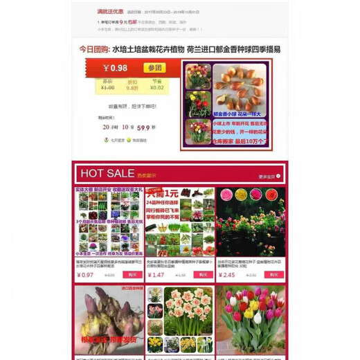 Double-petal longevity flower seeds, novice flower seeds, flower seeds, germination high package, version 1, 19 mixed colors, 50 capsules