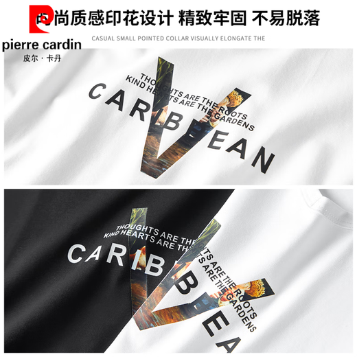 
Pierre cardin 2025 Spring and Autumn Long Sleeve T-shirt Men's Thin Model Modal Cotton Autumn Clothes Black Trendy Printed Bottoming Shirt Underwear Top White (15123) (suitable for 95-115Jin [Jin equals 0.5 kg]) M