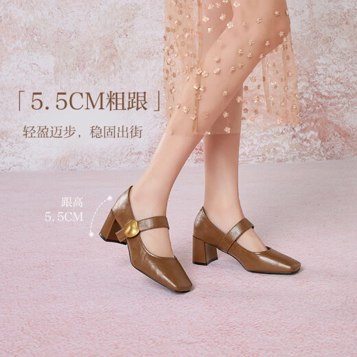 百思图【琥珀石】2025春季新款玛丽珍鞋粗跟女单鞋M1509AQ5 棕色 36