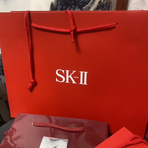 2025 high-end SK2 gift bag small medium large gift bag handbag paper bag packaging bag gift shopping bag 1 SK envelope sample bag