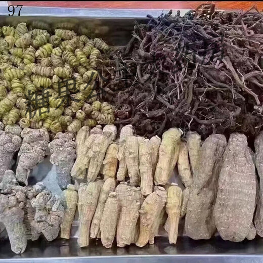 Store phare officiel Cinq comprimés de trésor Yunnan Wenshan Panax Notoginseng Dendrobium gastrodia salvia salvia ginseng American Five-in-One Authentic Chinese Medicine Shoot 1 Shot 1 (bouteille unique) Sélectionné 20 Panax Notoginseng Five Treasure Tablets 250G