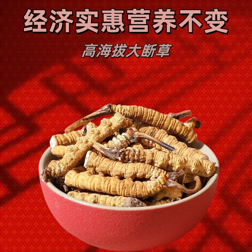
Xina Tibet Que High-altitude Cordyceps Cordyceps Broken Grass Large bottles High-altitude Self-use authentic home outfits Tibet Naqu Broken Grass 50 grams pack 5 grams hair 55 grams