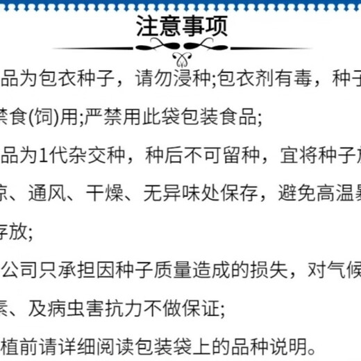 Liyuan 296 corn seeds - white shaft variety - 4400 grains per bag - determine the adaptation area before purchasing 4 bags per bag 4400 seeds per bag