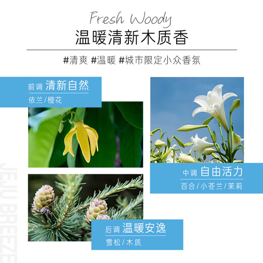 Lu Xiang Fun Lu Guan Oil Fluffy Shampoo Long-lasting Fragrance Jeju Breeze Shampoo 580ml
