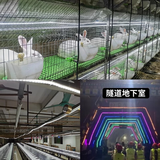 Fanyao outdoor waterproof light strip led super bright light strip 220v special engineering high voltage light strip for living room exterior wall 120 beads-white light-10 meters