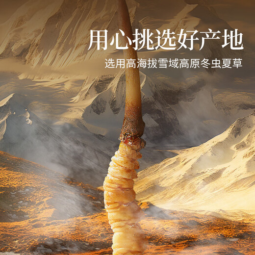 Tongrentang Brand Beijing Tongrentang Cordyceps Cordyceps peut être jumelé avec du ginseng pour nourrir les anciens Box 1 boîte 4G [Boîte-cadeau Fuyun] environ 5 bâtons / gramme environ 20 bâtons