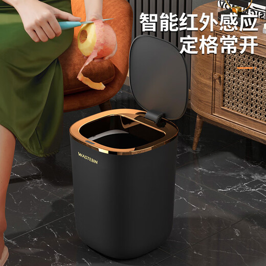 Hengjiewei 2025 Smart Trash Can Home Large Capacity Living Room Kitchen Bedroom Bathroom Automatic Sensor Flip Cover Black Gold Charging 12L