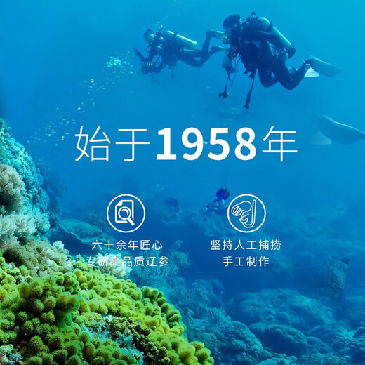 Zhangzidao Dalian ready-to-eat sea cucumber 1200g 21-30 pieces, more than 90% solid content, seafood and aquatic products gift box